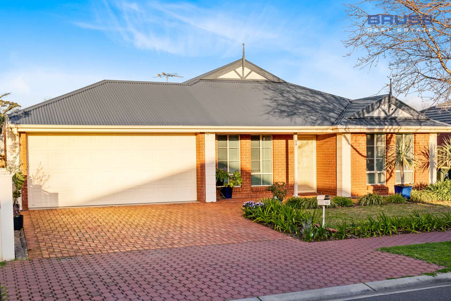 Main view of Homely house listing, 58 Meadowbank Terrace, Northgate SA 5085