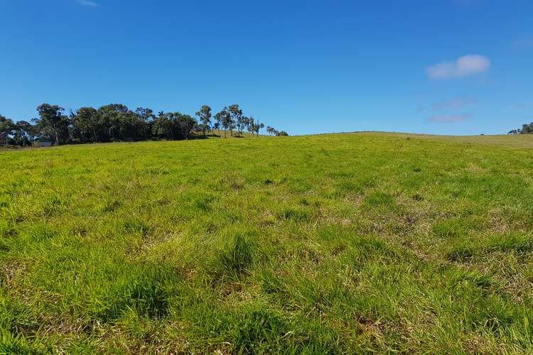 Main view of Homely residentialLand listing, 82 Droughtmaster Drive, Hay Point QLD 4740