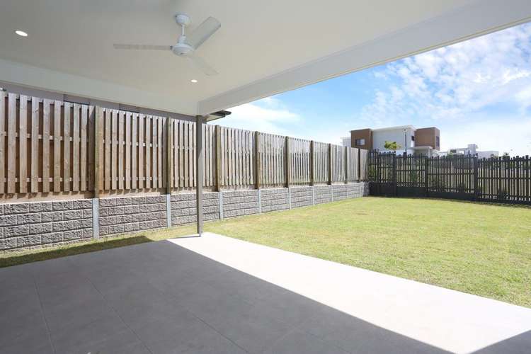Fifth view of Homely house listing, 13 Rivina Circuit, Coomera QLD 4209