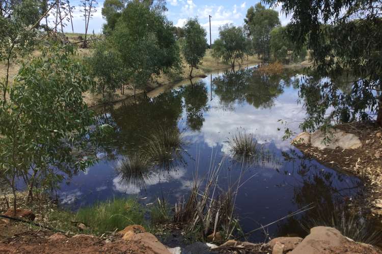 Fourth view of Homely mixedFarming listing, 1220 Waterhatch Road, Beverley WA 6304