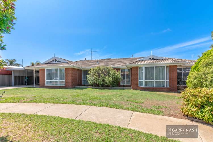 Main view of Homely house listing, 3 Grace Court, Wangaratta VIC 3677