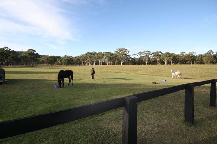 Third view of Homely acreageSemiRural listing, 255 Rosemount Road, Denman NSW 2328