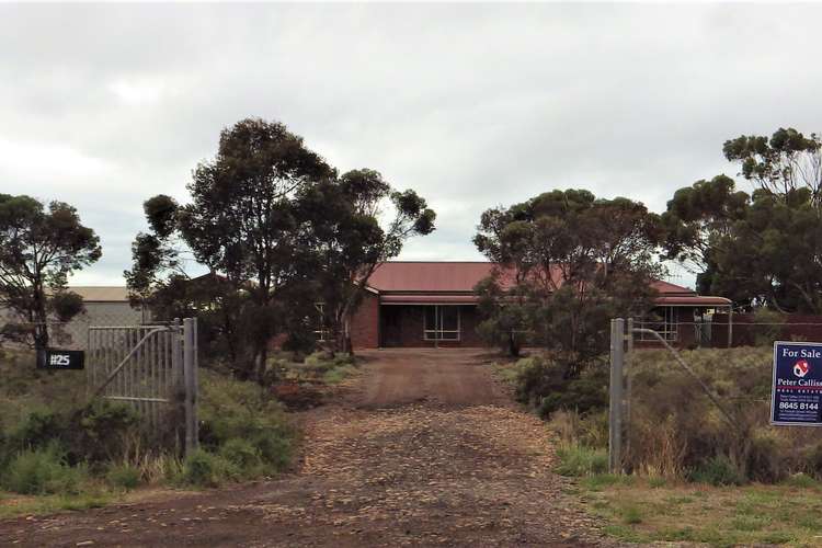 Main view of Homely house listing, 25 MULLAQUANA ROAD, Whyalla SA 5600