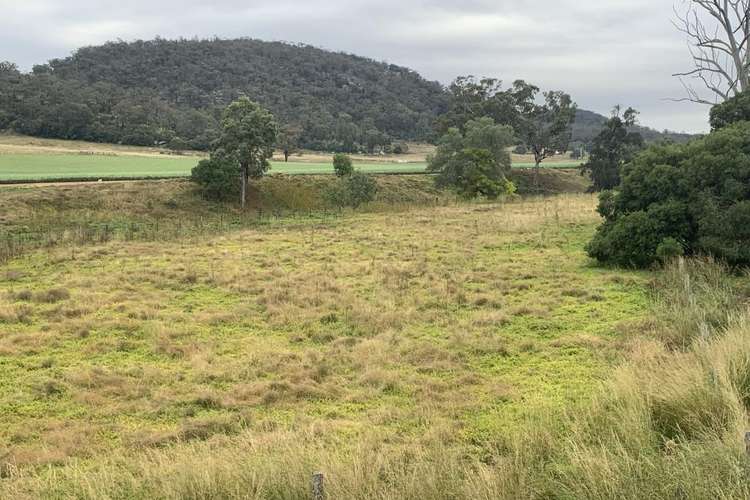 Fourth view of Homely lifestyle listing, Lot 49 Giants Creek Road,, Sandy Hollow NSW 2333