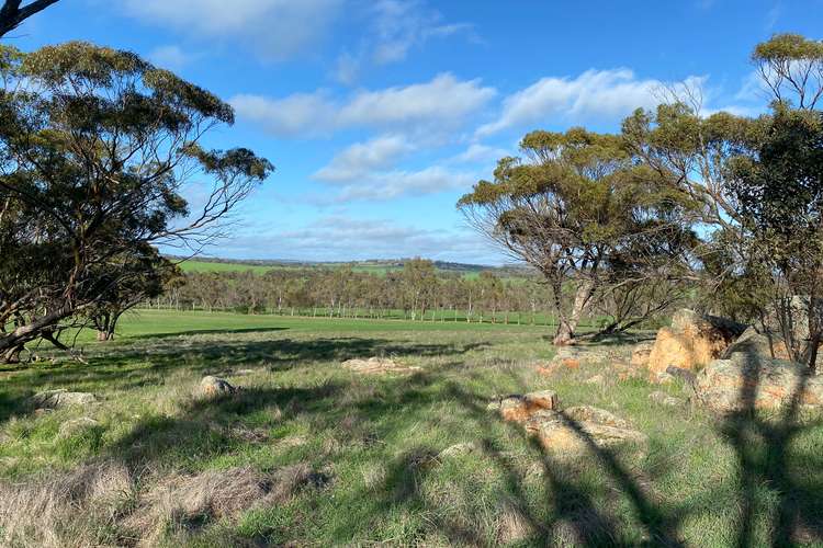 Sixth view of Homely lifestyle listing, 183 Mandiakon Rd Dale, Beverley WA 6304