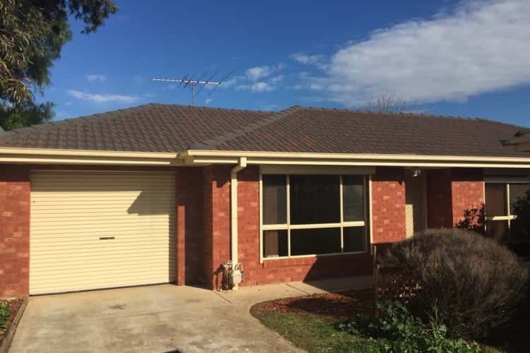 Main view of Homely house listing, 3/53 Staughton Street, Melton South VIC 3338