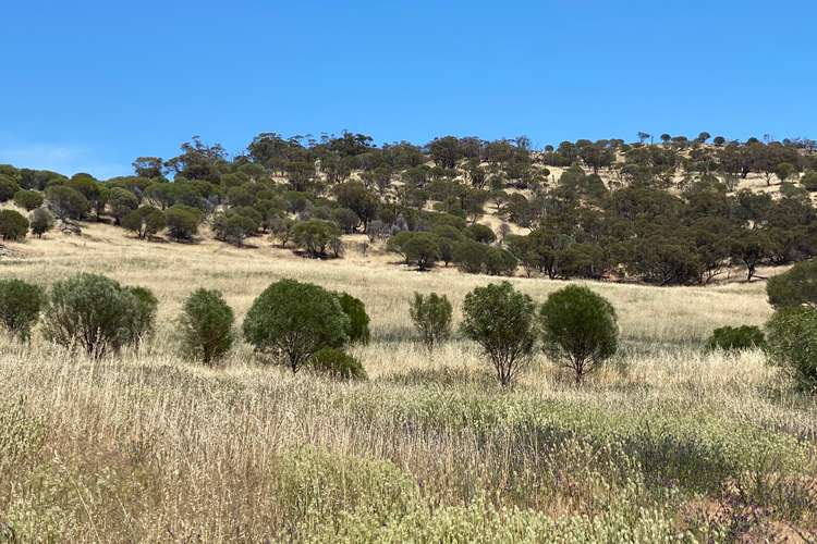 Second view of Homely lifestyle listing, LOT 120 Whitfield Rd, Toodyay WA 6566