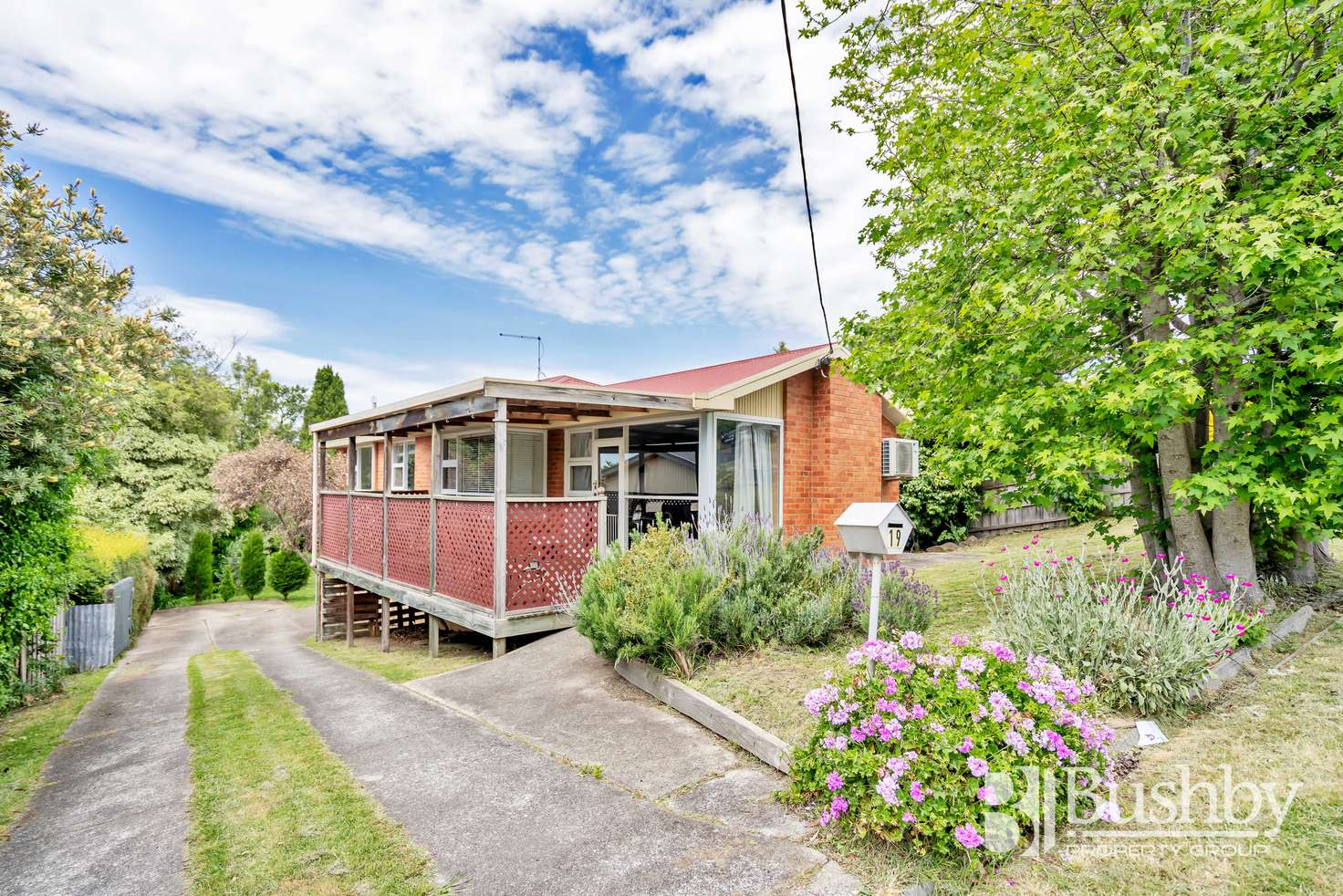 Main view of Homely house listing, 19 Dandenong Road, Trevallyn TAS 7250