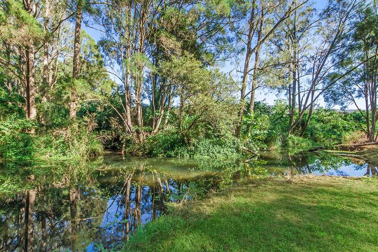Fifth view of Homely acreageSemiRural listing, 86 Mungindie Court, Mount Nathan QLD 4211