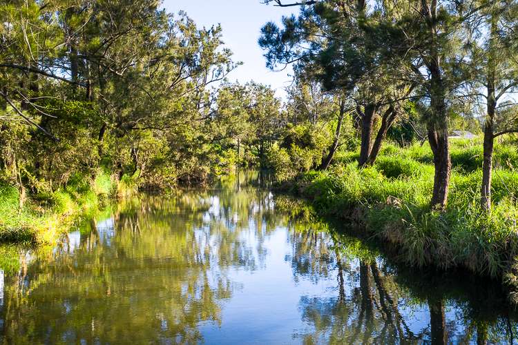 Second view of Homely house listing, 2 illinbah Road, Ferny Glen QLD 4275