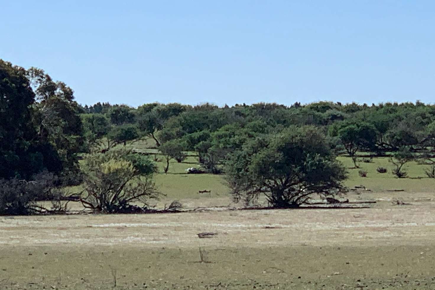 Main view of Homely mixedFarming listing, Lot 4 Maitland Rd, Beverley WA 6304