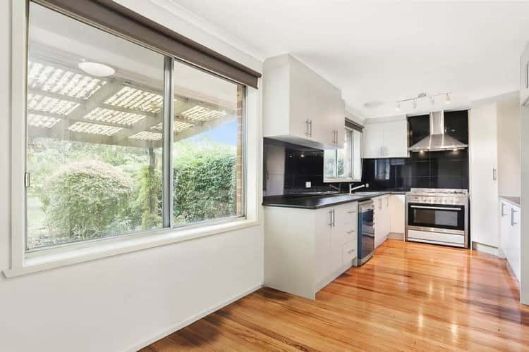 Main view of Homely house listing, 19 Rozelle Avenue, Ringwood East VIC 3135