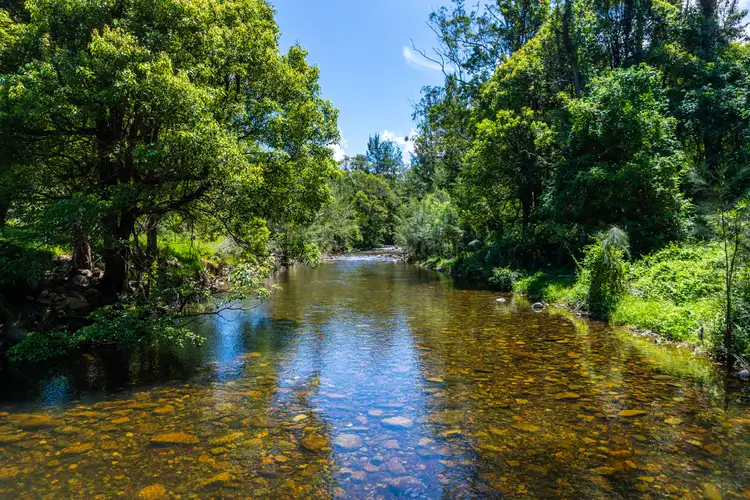 Third view of Homely rural property listing, 34 Longbottom Road, Chichester Via, Dungog NSW 2420