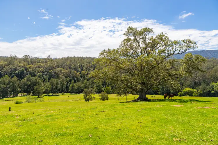 Fifth view of Homely rural property listing, 34 Longbottom Road, Chichester Via, Dungog NSW 2420