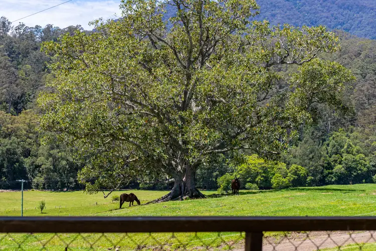 Sixth view of Homely rural property listing, 34 Longbottom Road, Chichester Via, Dungog NSW 2420