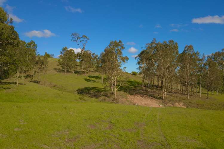 Third view of Homely lifestyle listing, Lot 207 Clarence Town Road, Dungog NSW 2420