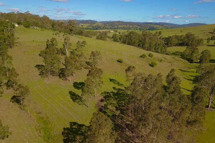 Fifth view of Homely lifestyle listing, Lot 207 Clarence Town Road, Dungog NSW 2420