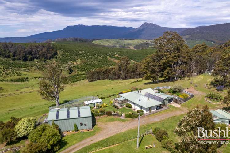 Main view of Homely house listing, 184 Hayes Road, Blessington TAS 7212
