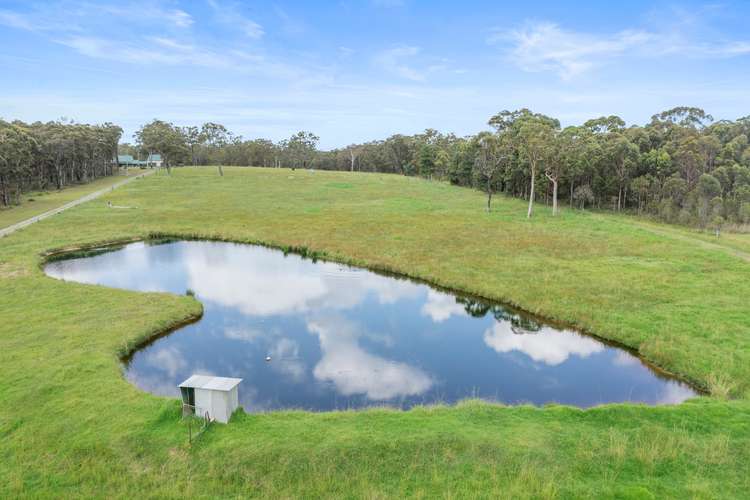 Fourth view of Homely lifestyle listing, 4486 Pacific Highway, Twelve Mile Creek NSW 2324