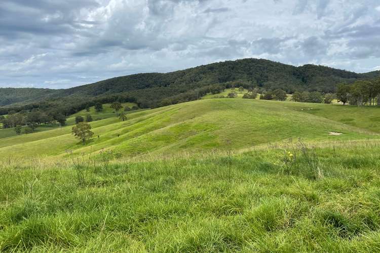 Main view of Homely lifestyle listing, Lot 101 Moores Road, Monkerai Via, Dungog NSW 2420