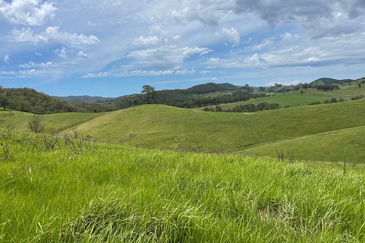 Third view of Homely lifestyle listing, Lot 101 Moores Road, Monkerai Via, Dungog NSW 2420