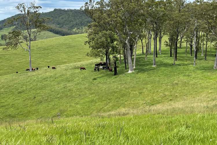 Fourth view of Homely lifestyle listing, Lot 101 Moores Road, Monkerai Via, Dungog NSW 2420