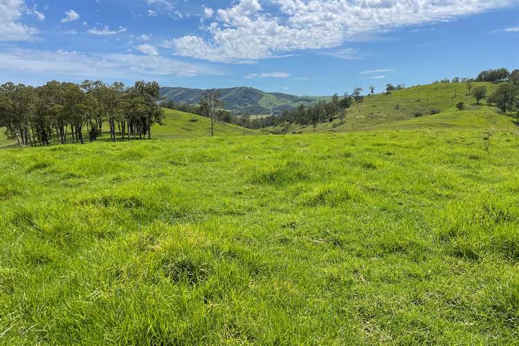 Seventh view of Homely lifestyle listing, Lot 101 Moores Road, Monkerai Via, Dungog NSW 2420