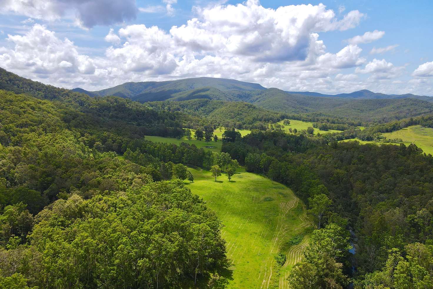 Main view of Homely lifestyle listing, 21 Mountain Road, Monkerai Via, Dungog NSW 2420