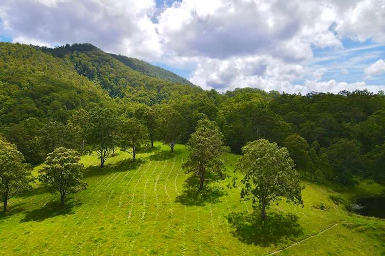 Third view of Homely lifestyle listing, 21 Mountain Road, Monkerai Via, Dungog NSW 2420