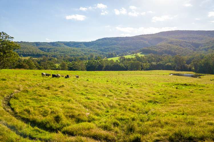 Fourth view of Homely lifestyle listing, LOT 102, 538 Main Creek Road, Main Creek Via, Dungog NSW 2420