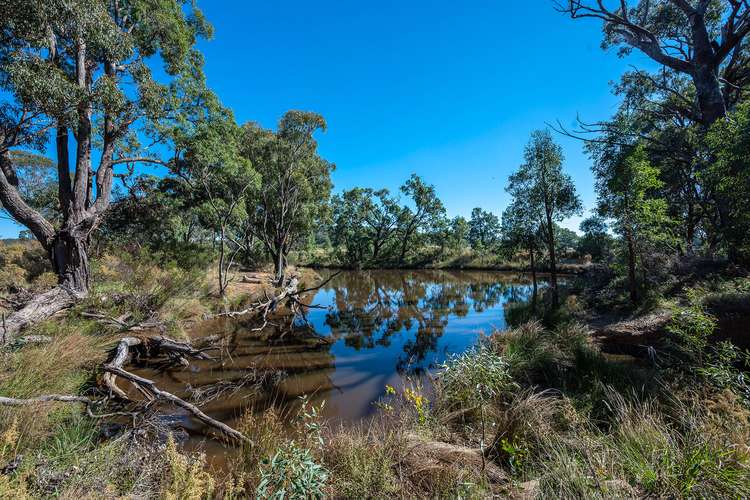 Fifth view of Homely ruralOther listing, 364 Corishs Lane, Gulgong NSW 2852