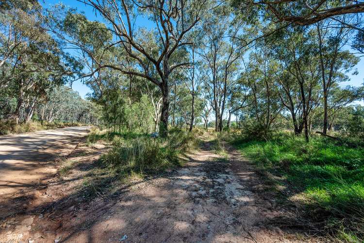 Seventh view of Homely ruralOther listing, 364 Corishs Lane, Gulgong NSW 2852