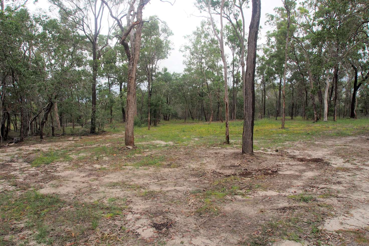 Main view of Homely ruralOther listing, Lot 4 ADIES ROAD, Isis Central QLD 4660