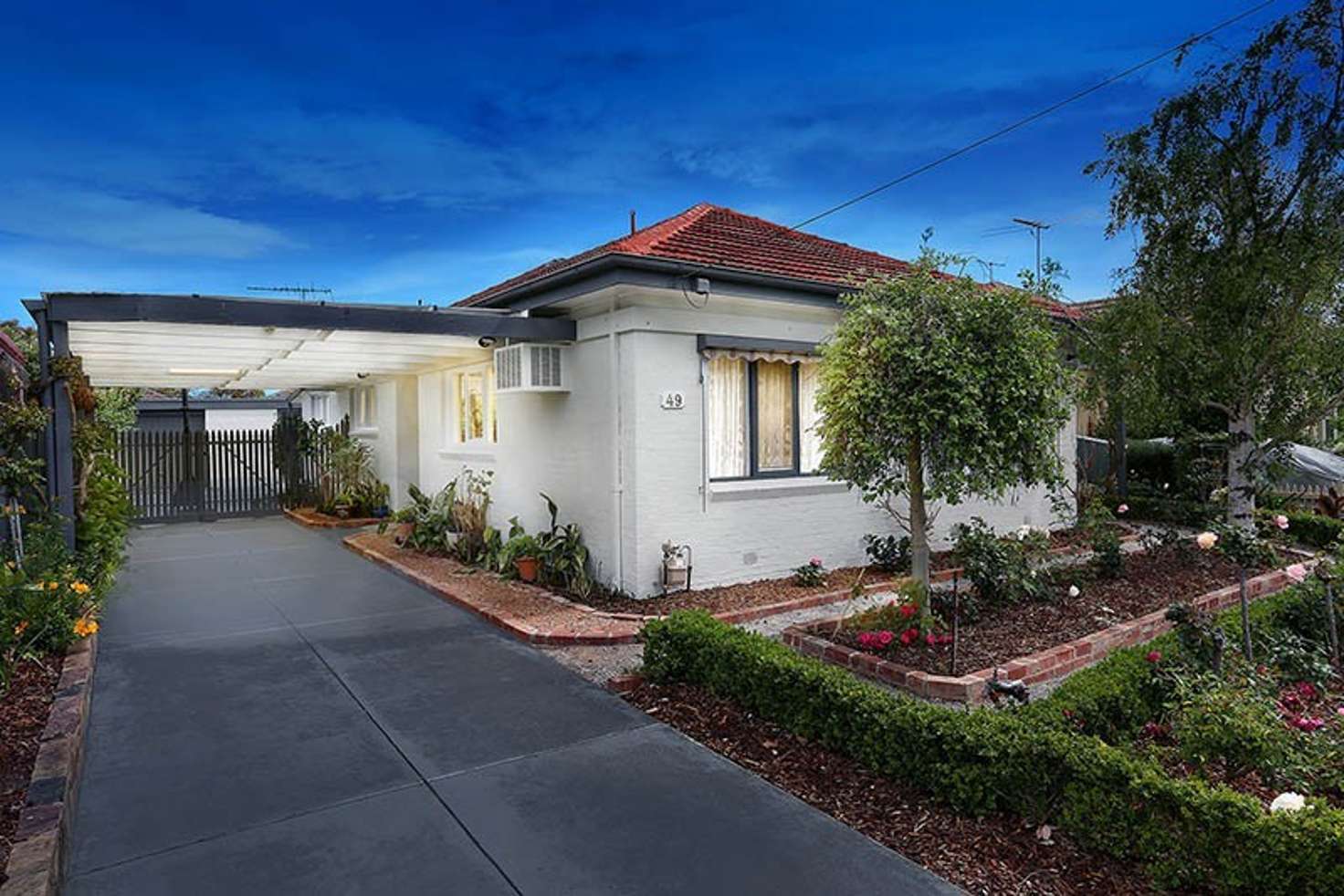 Main view of Homely house listing, 49 Ward Grove, Pascoe Vale South VIC 3044