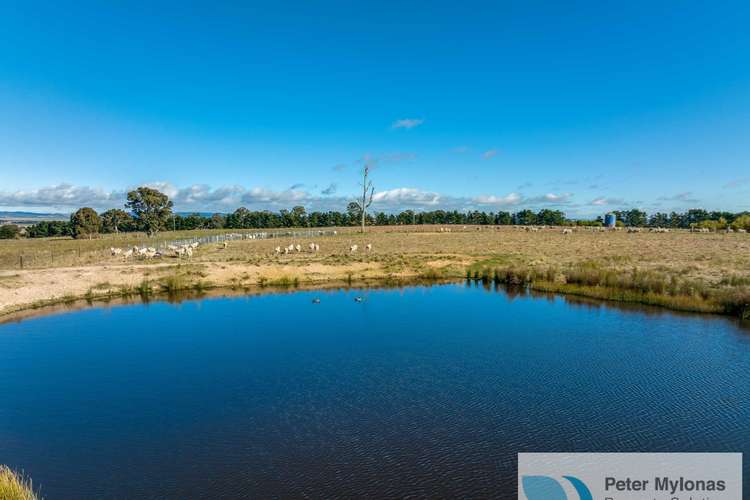 Main view of Homely lifestyle listing, 99 Shaws Creek Road, Goulburn NSW 2580