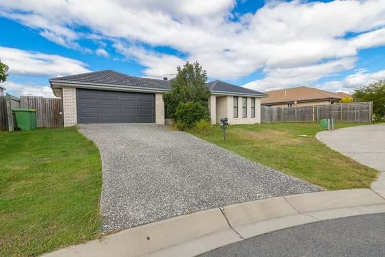 20 Bickle Place, North Booval QLD 4304