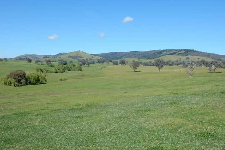 Sixth view of Homely ruralOther listing, 511 ELLERSLIE ROAD, Adelong NSW 2729