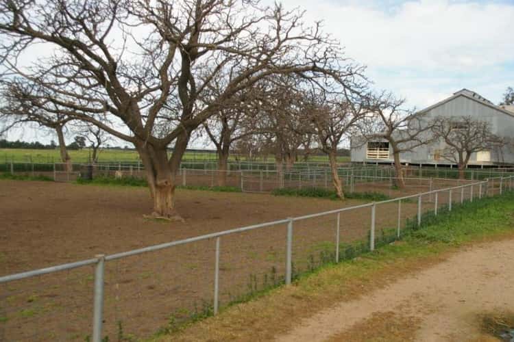 Seventh view of Homely cropping listing, TUPPAL ROAD, Tocumwal NSW 2714