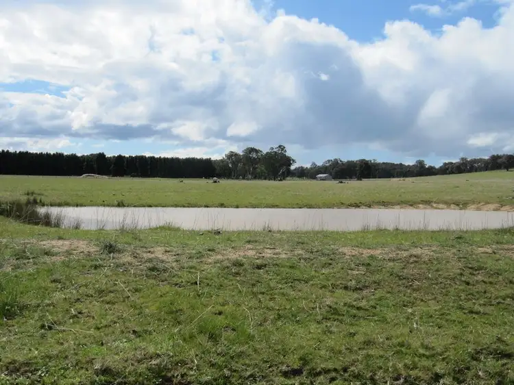 Sixth view of Homely rural property listing, CA21 Boundary Road, Briagolong VIC 3860
