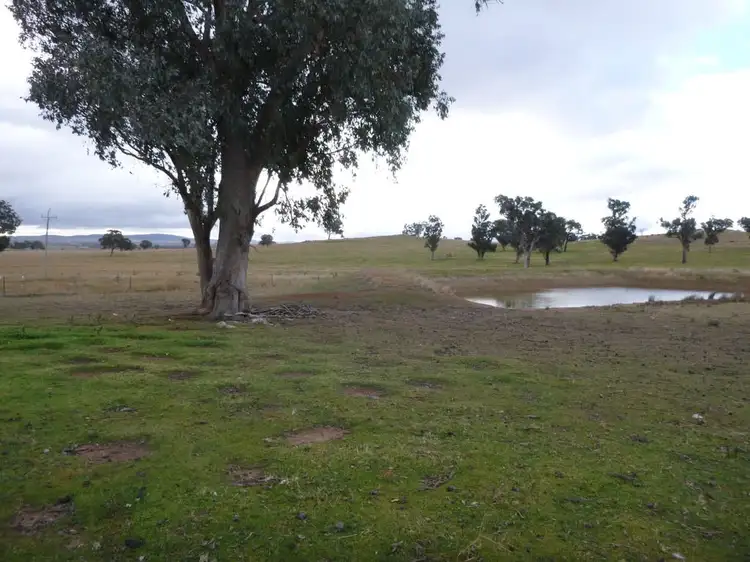 84 Cultowa Lane, Canowindra NSW 2804