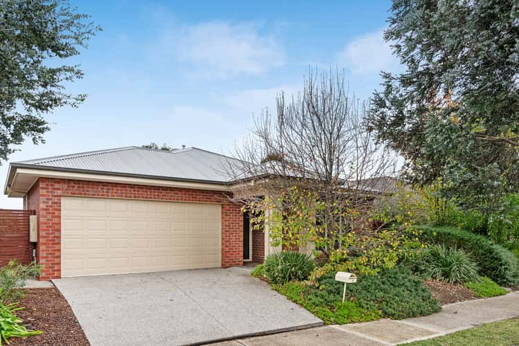 Main view of Homely house listing, 17 Ballam Way, Doreen VIC 3754