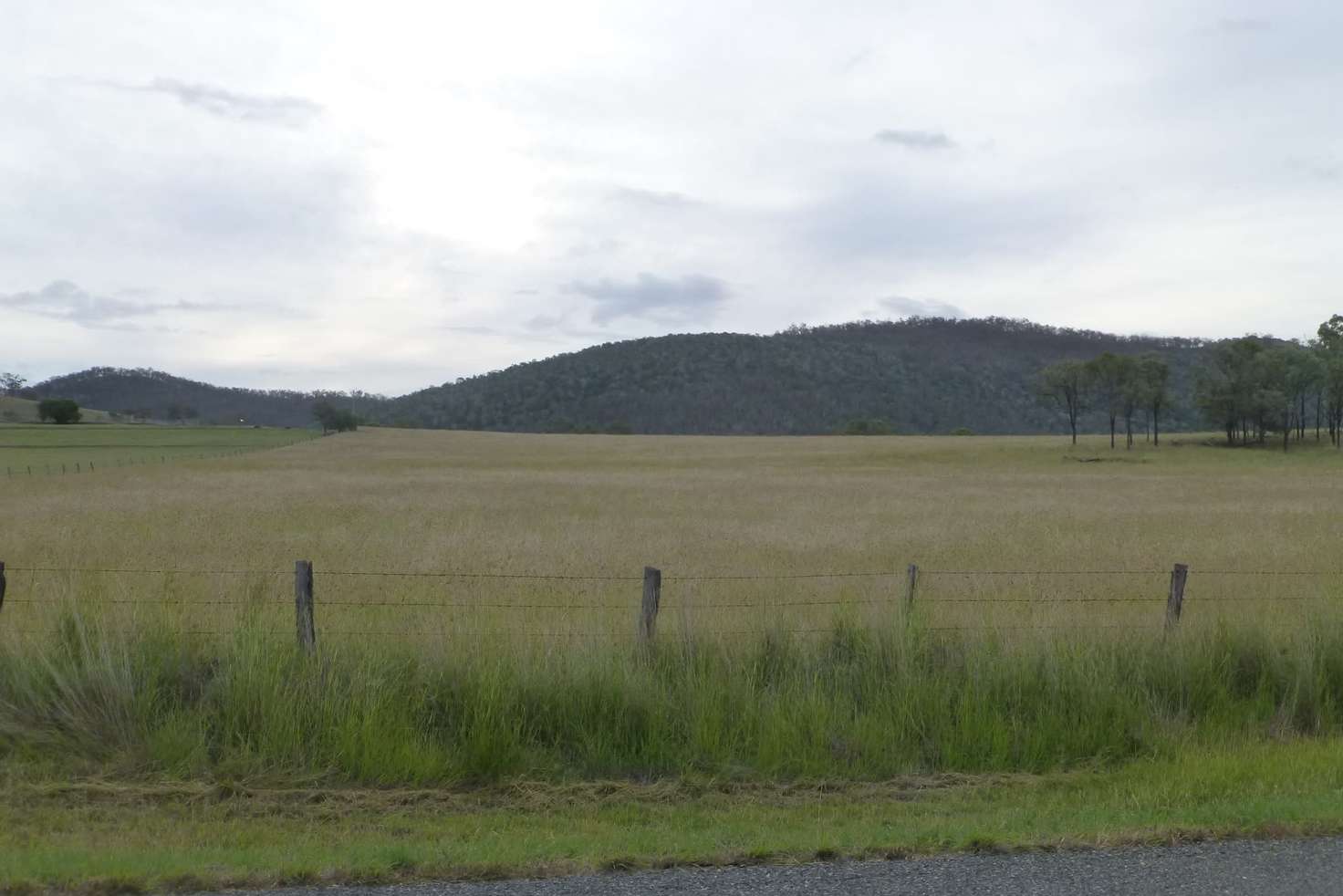 Main view of Homely livestock listing, LOT 82 & 1 MT HASTINGS CREEK ROAD, Biggenden QLD 4621
