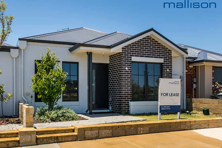 Main view of Homely house listing, 26 Butterleaf Road, Baldivis WA 6171