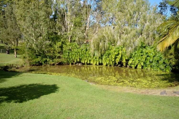 Third view of Homely acreageSemiRural listing, 9-13 PLOVER COURT, Canungra QLD 4275