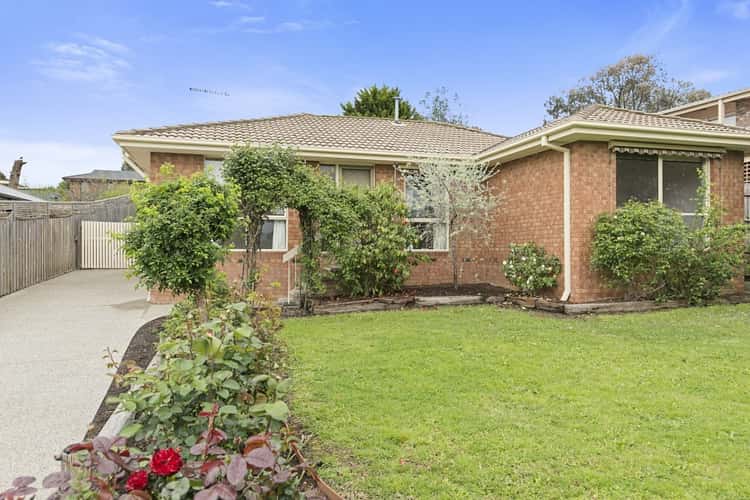 Main view of Homely house listing, 16 Miriam Drive, Yarra Glen VIC 3775