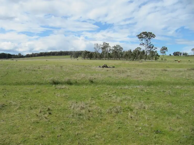 Fifth view of Homely rural property listing, CA21 Boundary Road, Briagolong VIC 3860