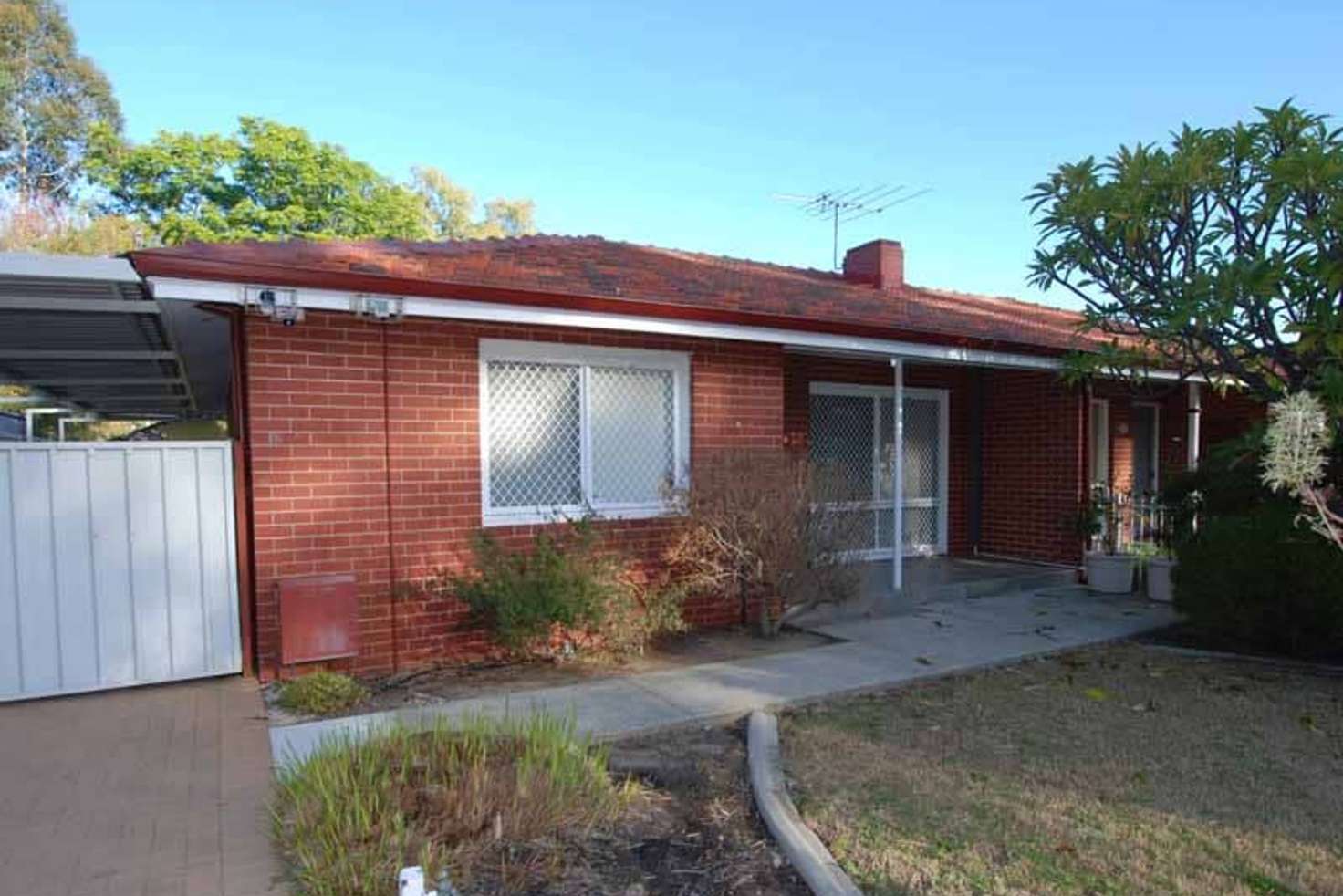 Main view of Homely semiDetached listing, 31 Prospero Crescent, Coolbellup WA 6163