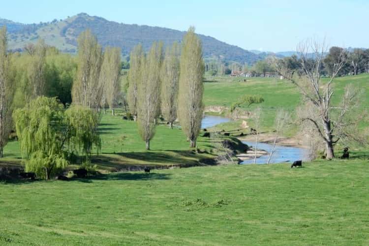 Main view of Homely ruralOther listing, 511 ELLERSLIE ROAD, Adelong NSW 2729