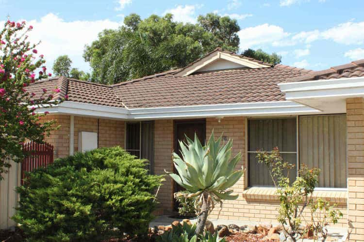 Second view of Homely house listing, 17B Carcoo Court, Beckenham WA 6107