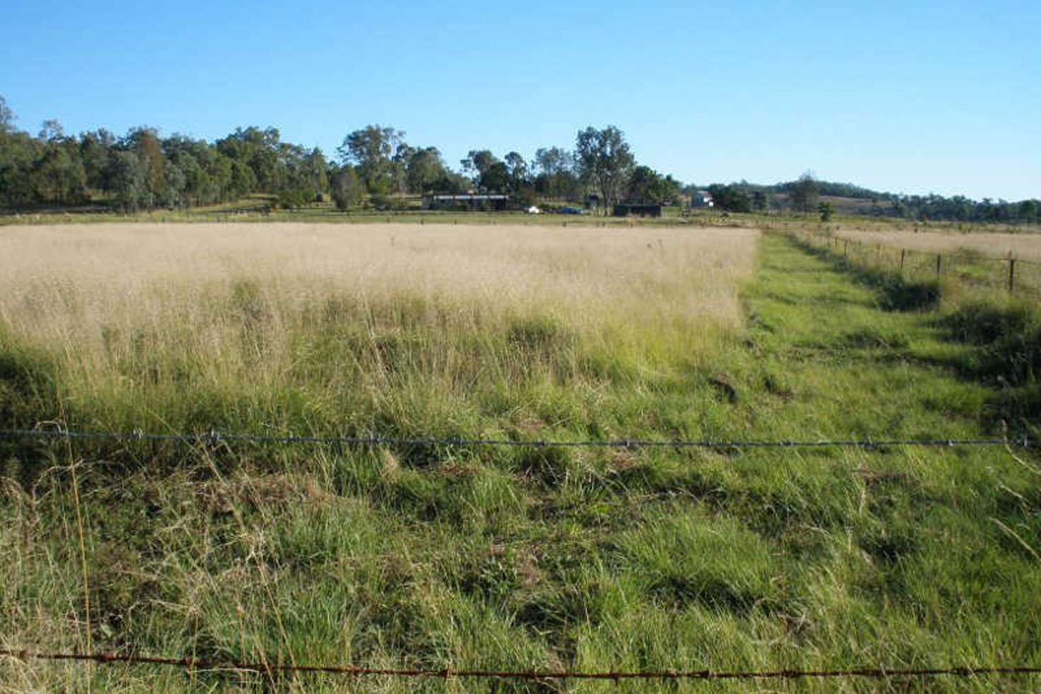 Main view of Homely ruralOther listing, 84 Brooklands Pimpimbudgee Road, Brooklands QLD 4615